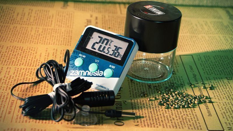 how long do cannabis seeds last