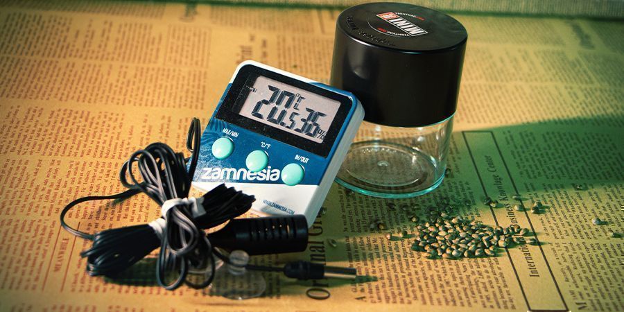 how long do cannabis seeds last