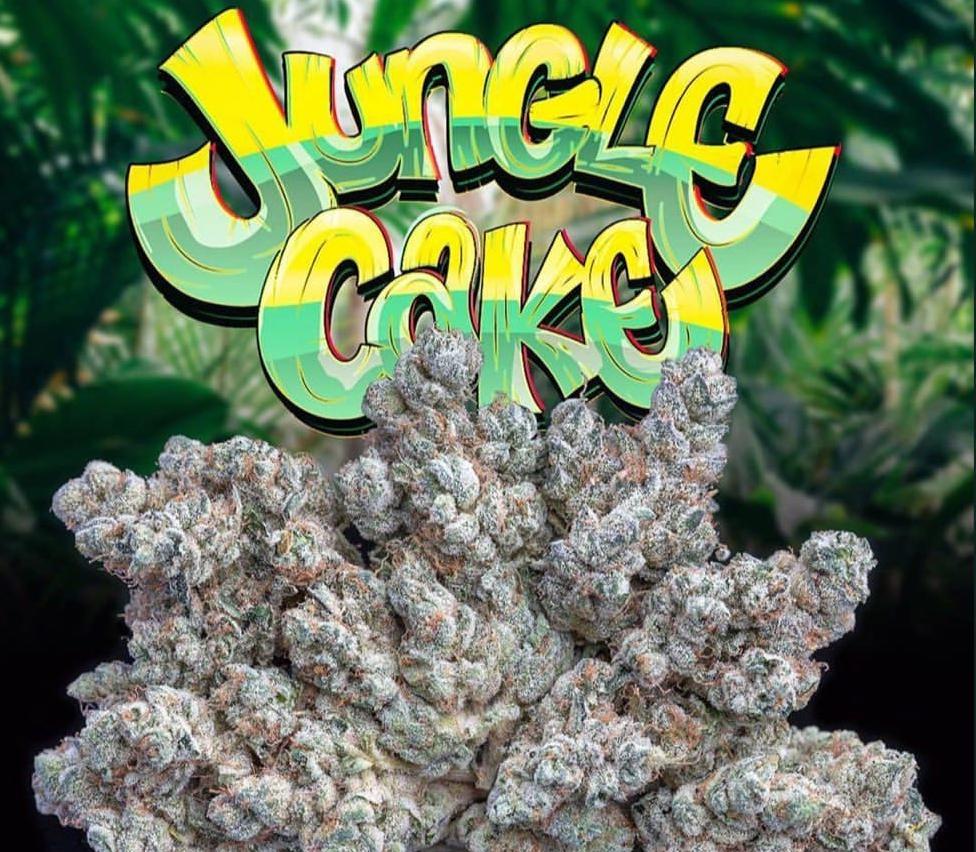jungle cake seeds