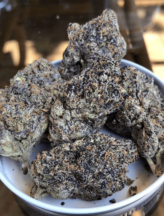 Info and review for productive Ice Cream Cake feminized